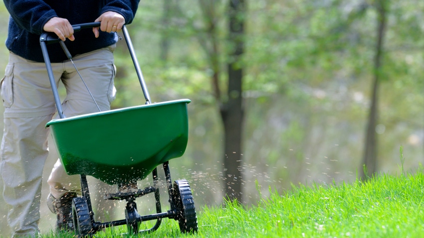 Man fertilizing a grassy lawn