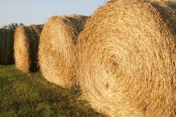 Calculating the real cost of hay storage
