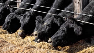 PRICING OPPORTUNITY: A proposed pilot for a cattle Contracts Library was proposed by the beef industry two years ago. Recentl