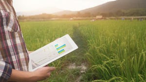 farmer using tablet to study graphs