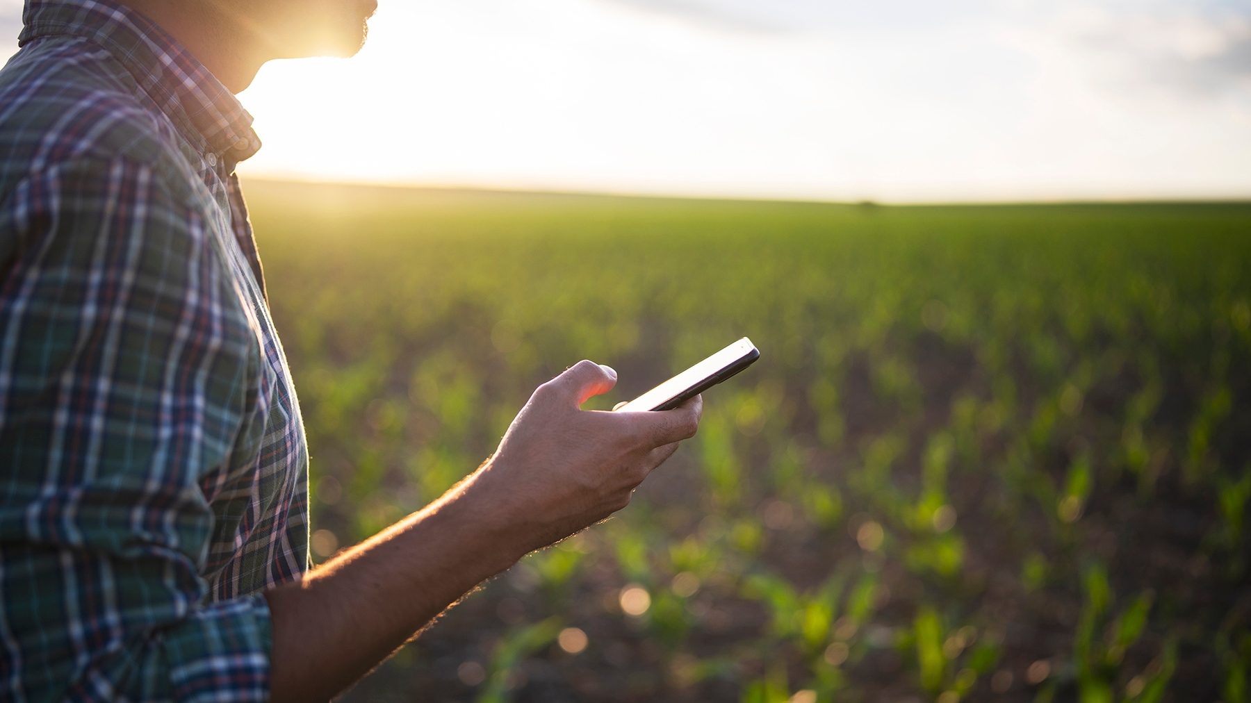 Farmers turn to social media for business