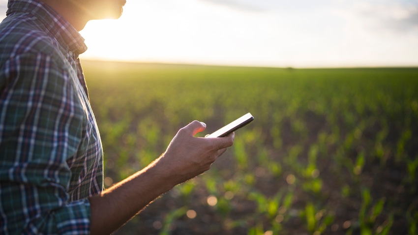 Farmer on cellphone in corn field