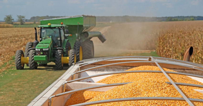 corn-harvest-1146-staff-dfpcopy.jpg corn-harvest-1146-staff-dfpcopy.jpg