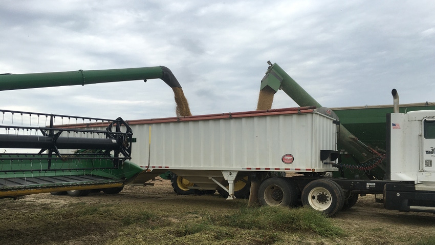 Loading Soybeans Loading Soybeans