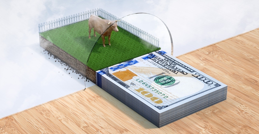 animal loan conceptual art