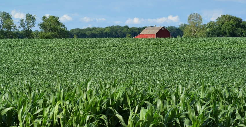 farm scene