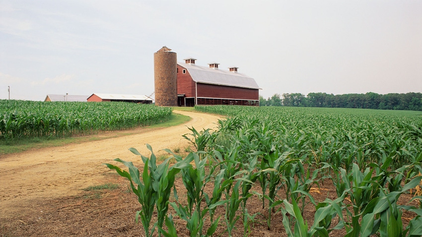  A red barn in the middle of a corn field