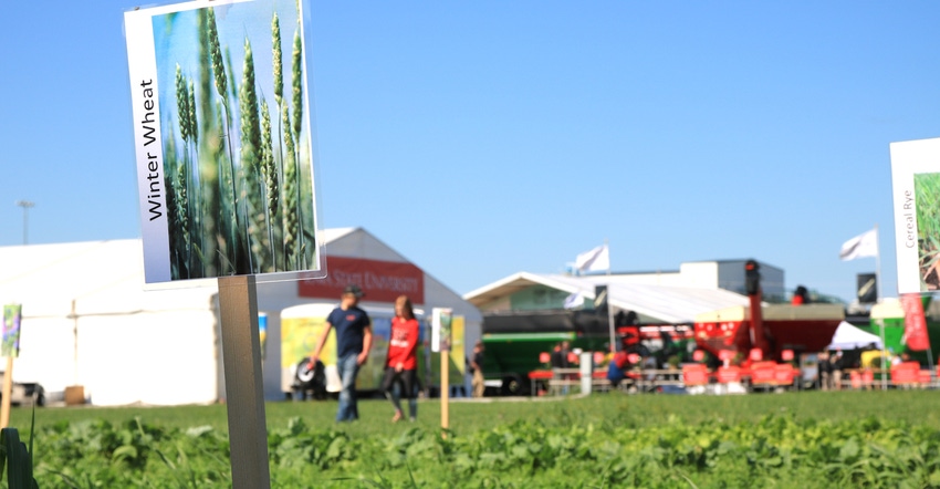 winter wheat plot at Farm Progress Show