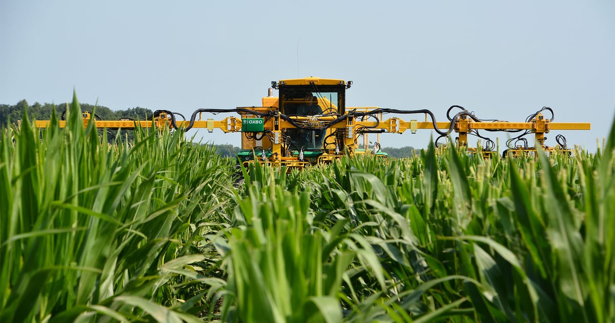 Producing modern seed corn takes patience