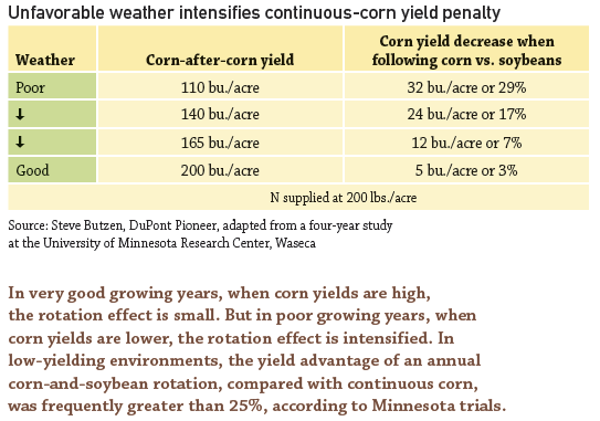 bad weather intensifies continuous corn yield penalty