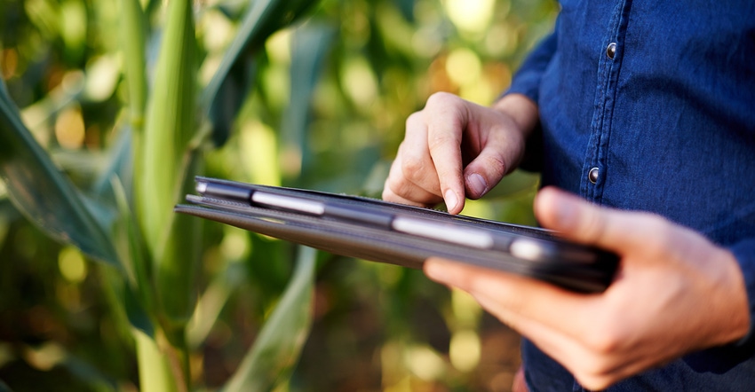 Farmer holding tablet