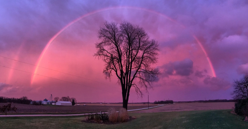 tree silhouette with rainbow at sunset after rainstorm