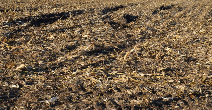 ruts in a field