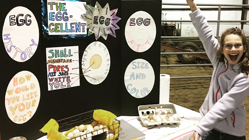 a young girl with a display about eggs