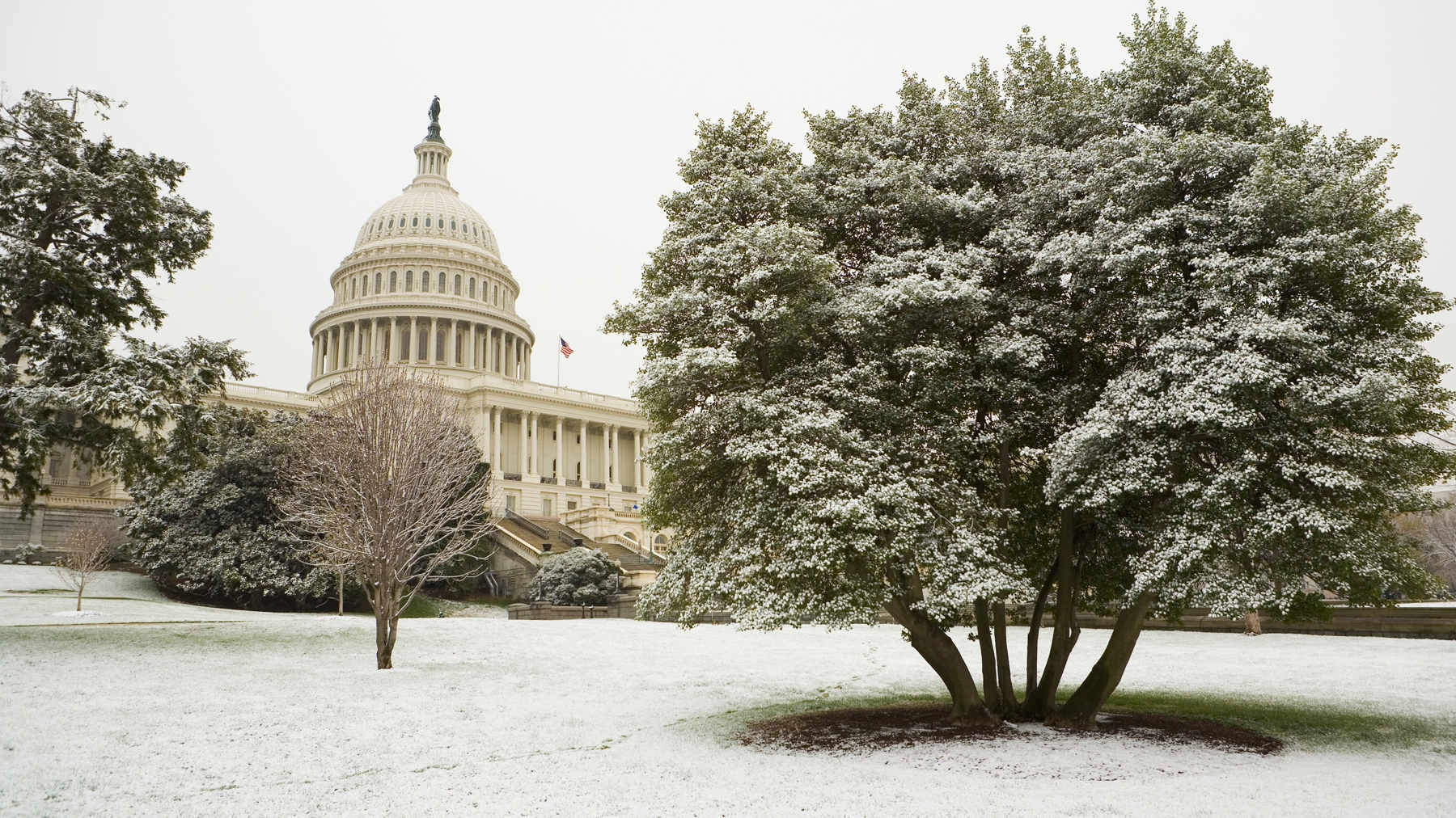 New Farm Bill Remains Difficult Goal In 2024   0101F2 1570 1800x1012 Recovered 