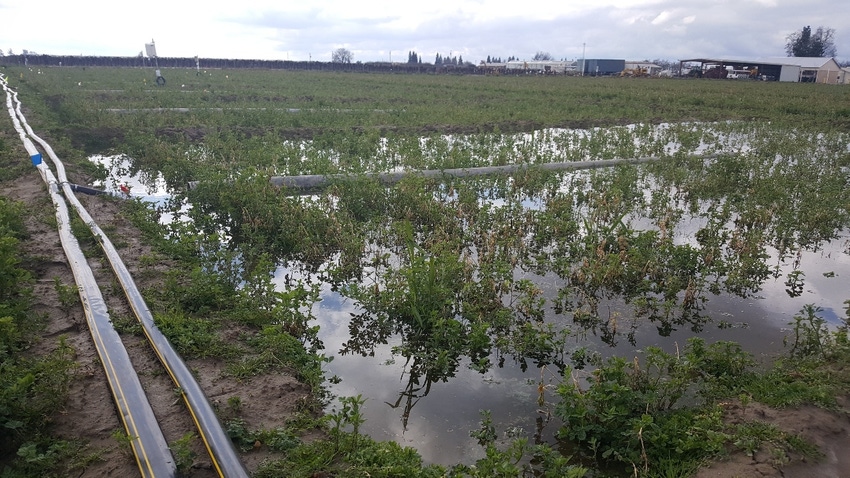 WFP-dahlke-UC-groundwater-recharge.jpg WFP-dahlke-UC-groundwater-recharge.jpg
