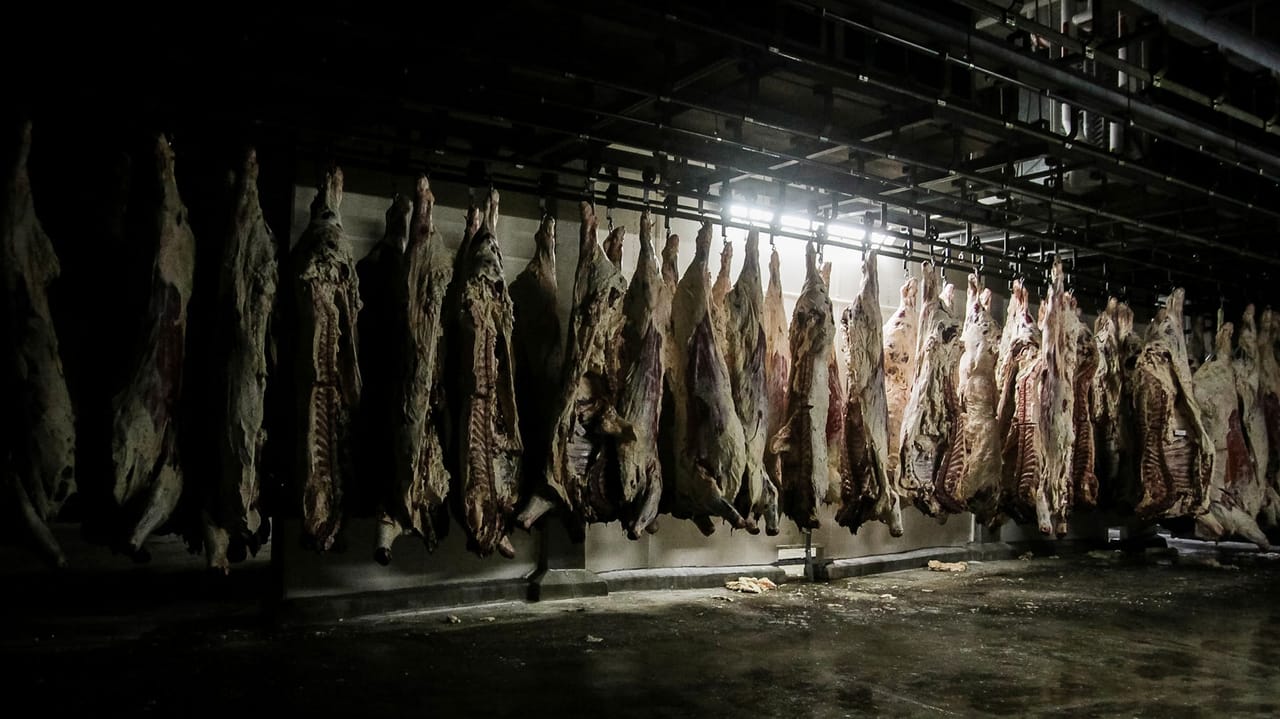 Rapp Rising Ground Beef import surge more about supply and demand than politics