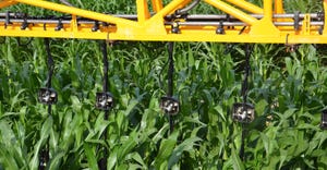 nitrogen application in cornfield 