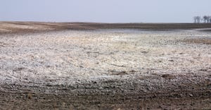A field with a white soil surface 