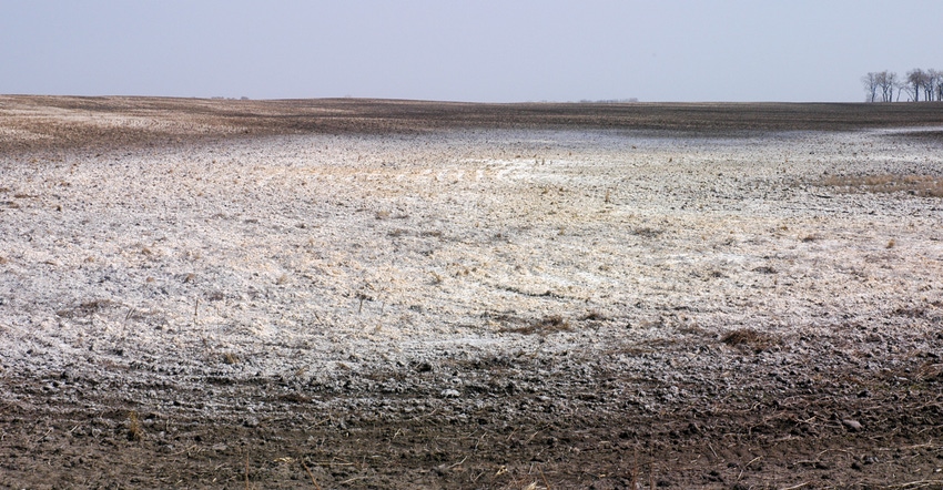 A field with a white soil surface 