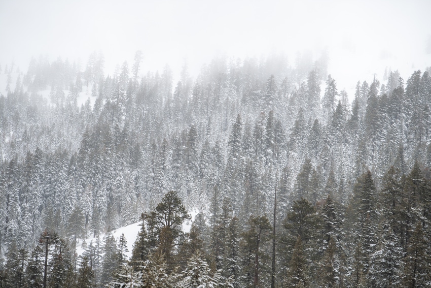 WFP-DWR-snowsurvey1.JPG WFP-DWR-snowsurvey1.JPG