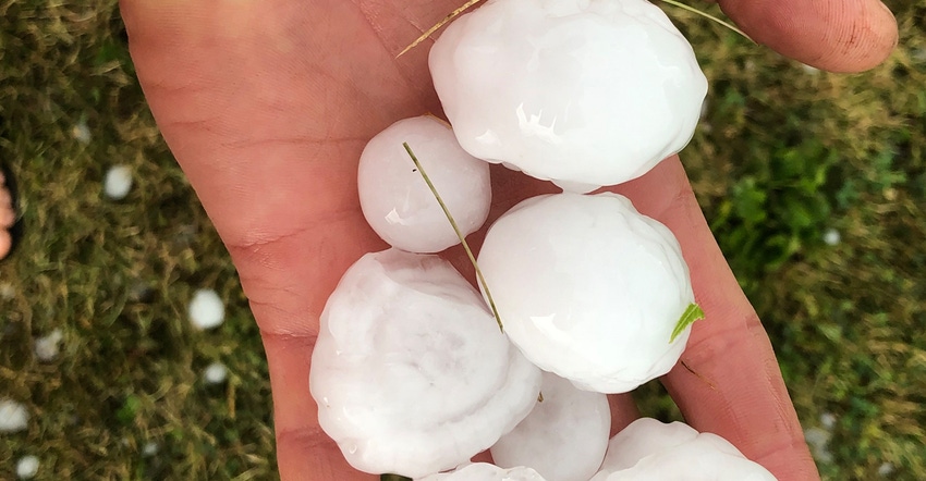  Hand holding hailstones that hit some fields hard in parts of Story County in central Iowa 