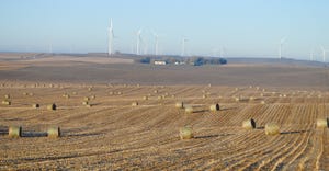 Corn field and wind turbines