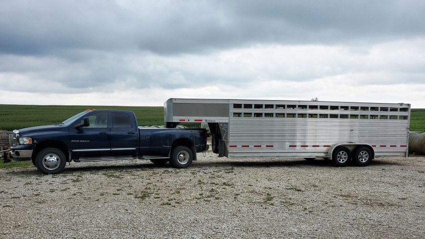 pickup truck pulling cattle trailer 
