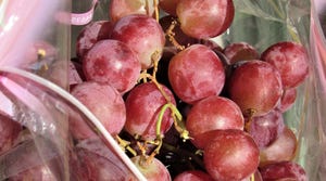 Fresh table grapes
