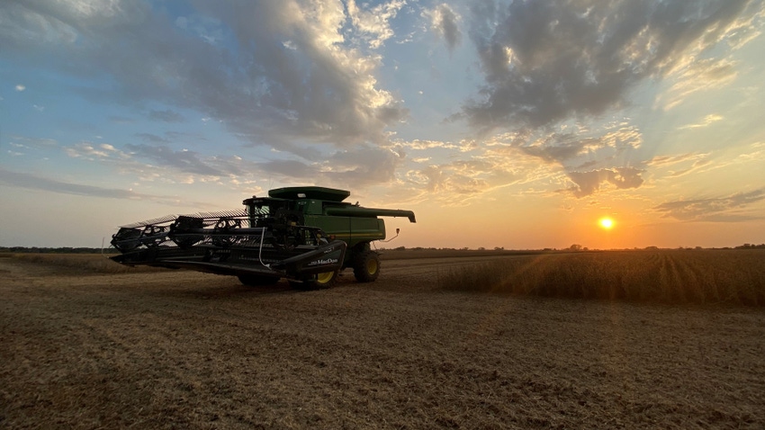 Combine harvesting soybeans in field