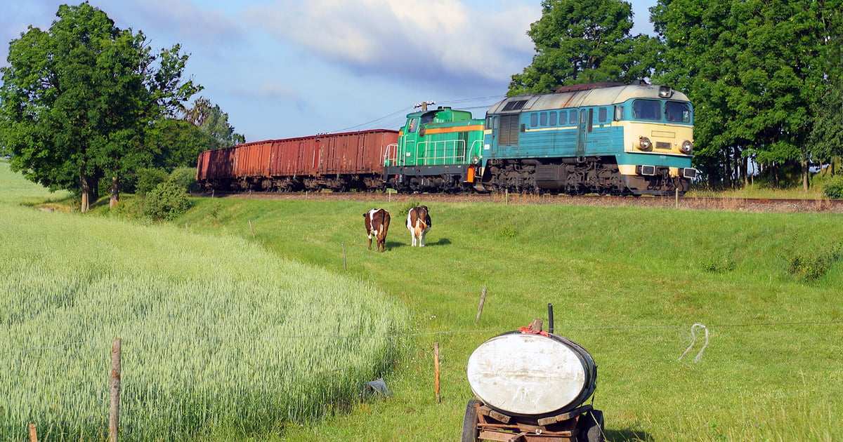 Tapping the brakes on a runaway cow train