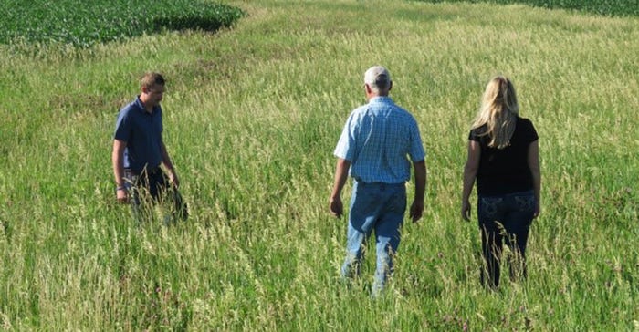 Andersen family walks grassed waterways on farm