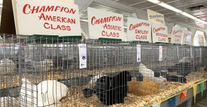 poultry show at the Missouri State Fair 