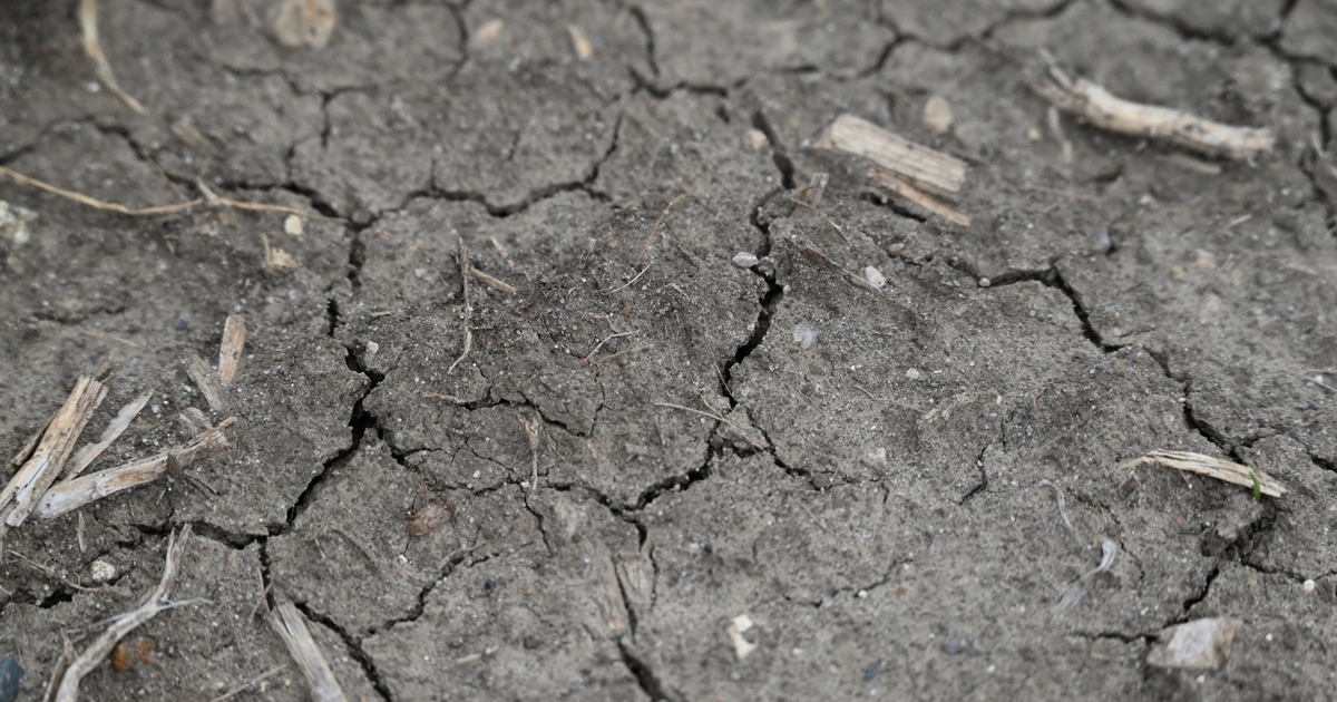 Drought conditions persist in parts of Iowa