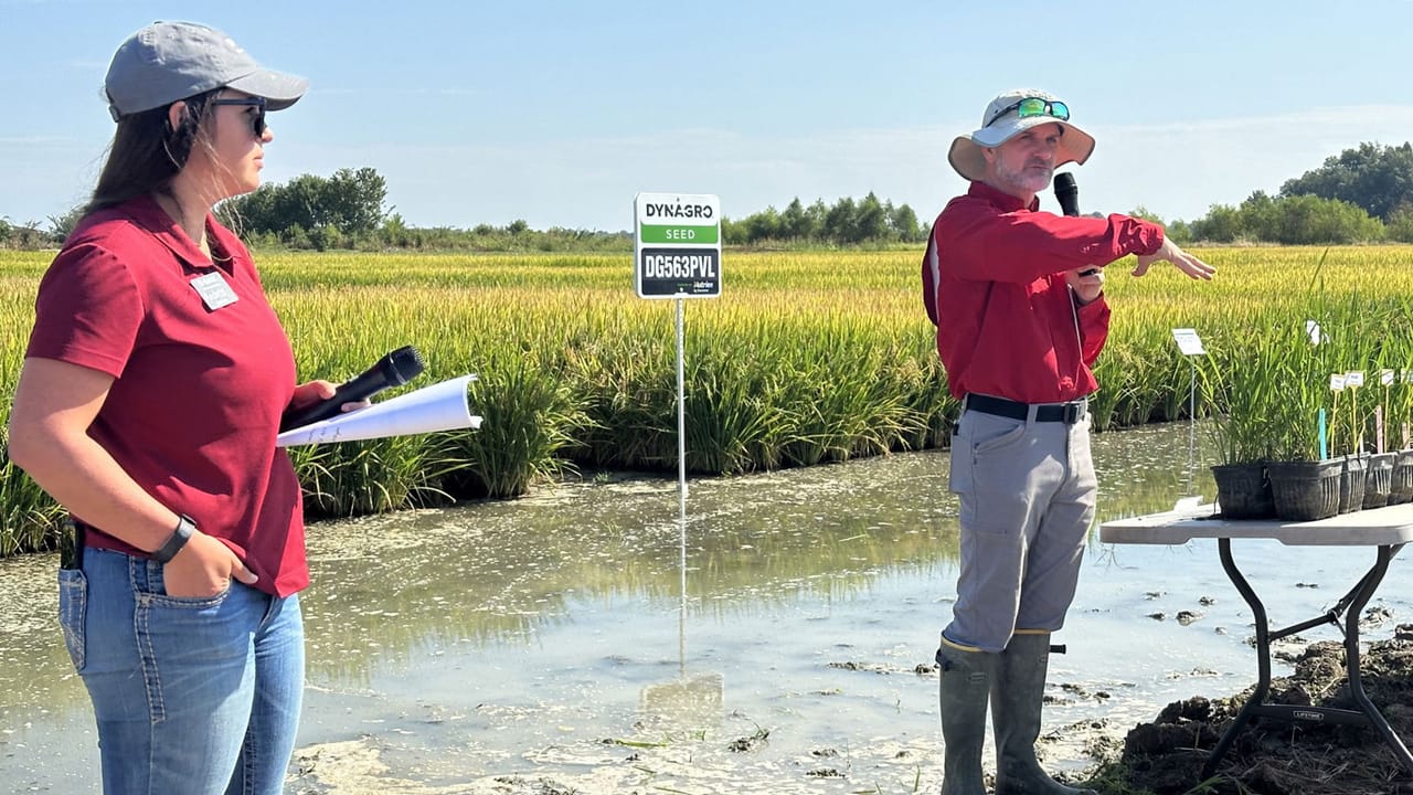 Nutrien introduces Provisia rice variety for 2025