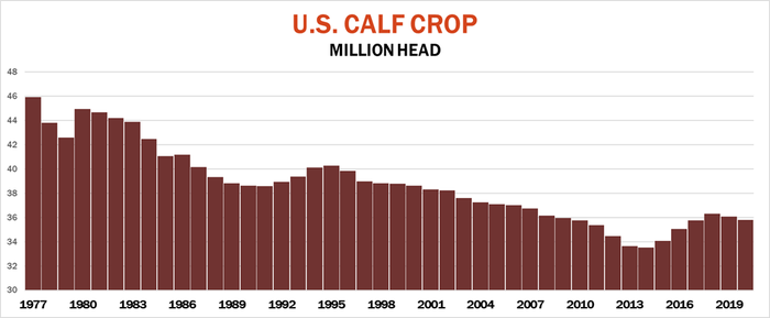 U.S. Calf Crop
