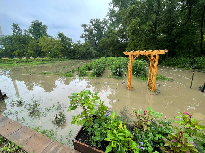 Muddy waters flooding a fruit and vegetable field