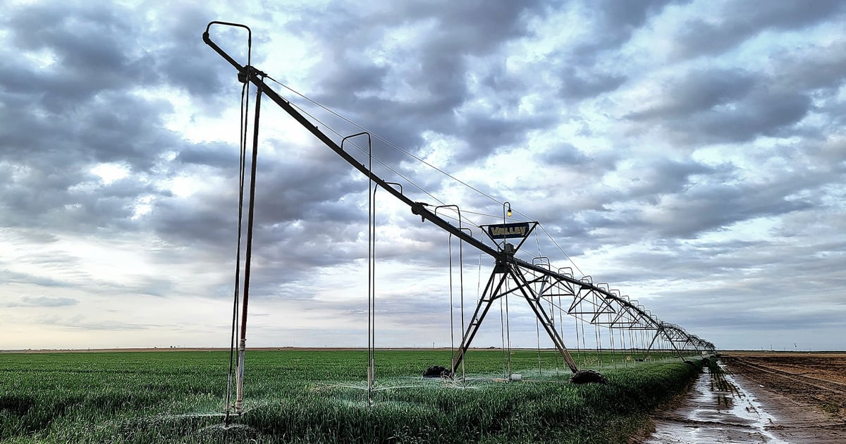 Water is essence of carbon sequestration