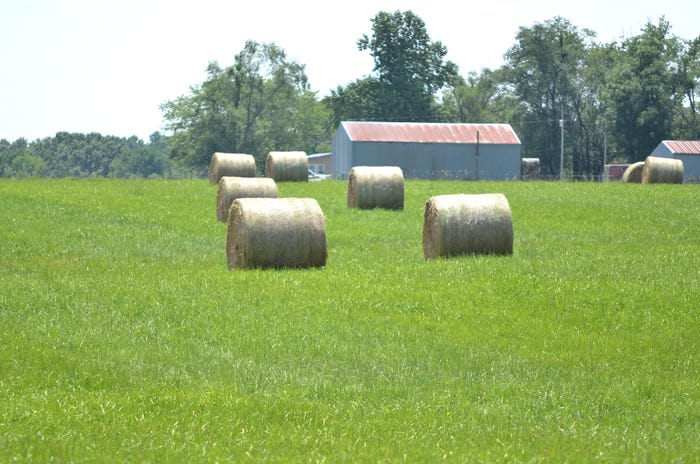Round hay bales in a green field near a building