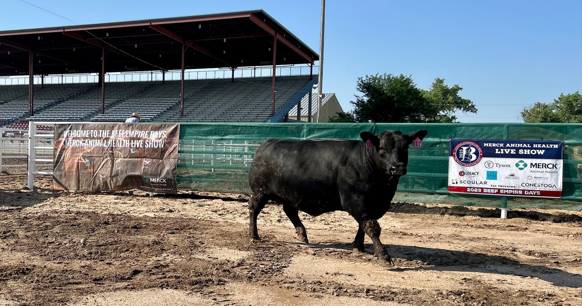 Beef Empire Days Live Show recognizes top feedlots