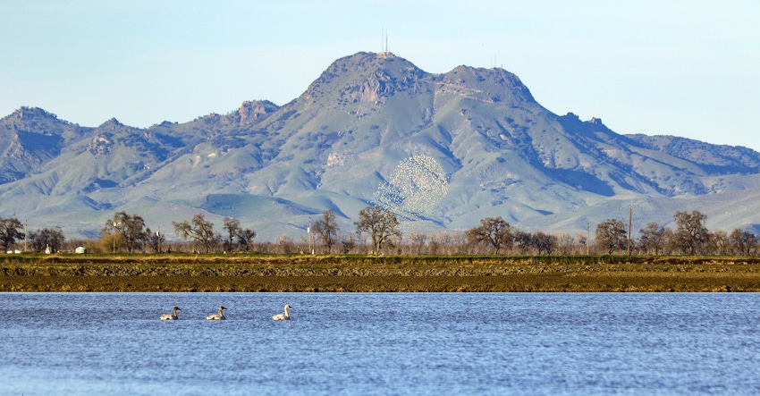 wfp_todd_fitchette_reclamation_district_108-23982.jpg