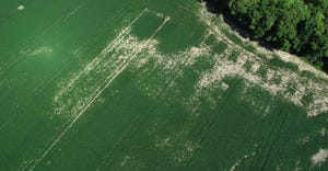 aerial view shows unplanted spots in soybean field