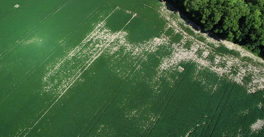 aerial view shows unplanted spots in soybean field