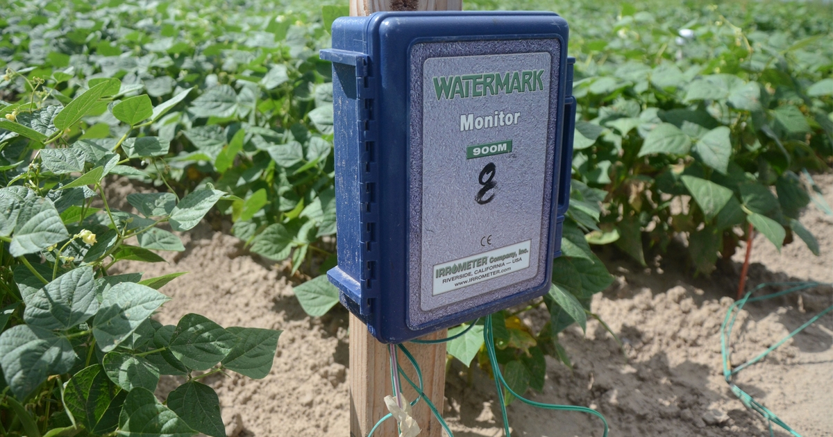 Put Crop Water App to work with Watermark sensors