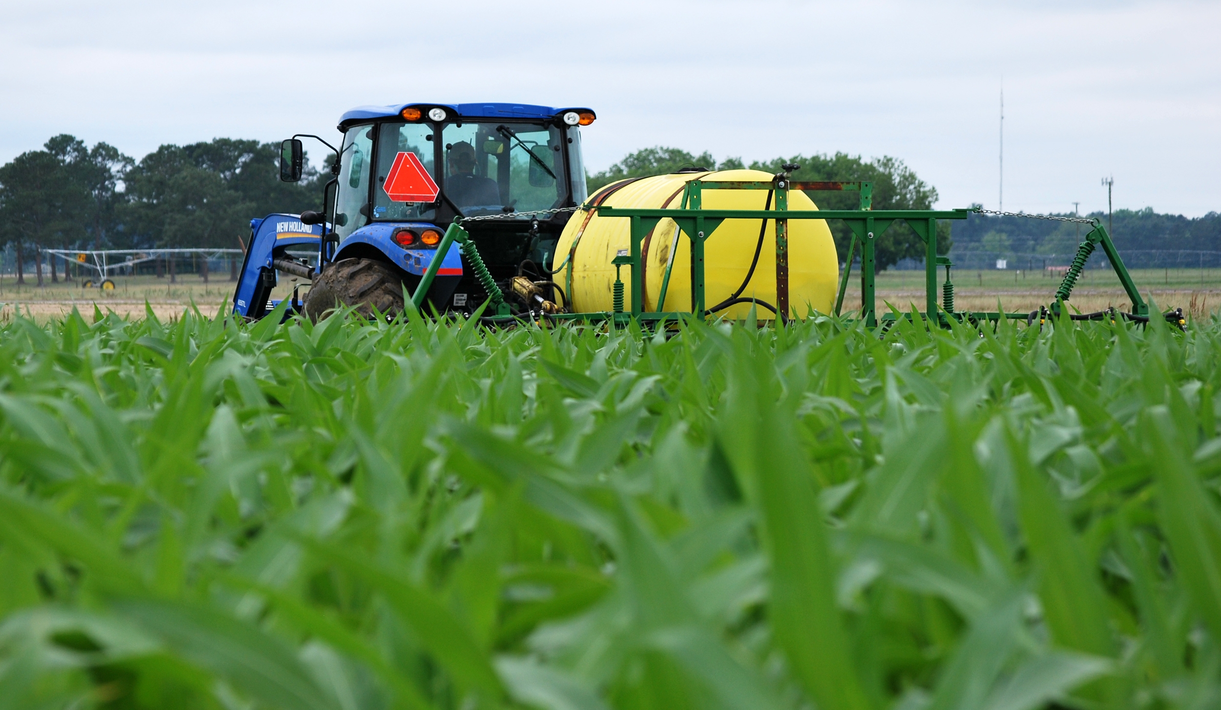 Sidedressing Corn After Heavy Early Season Rain