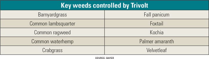 table listing weeds contolled by Trivolt herbicide table listing weeds contolled by Trivolt herbicide
