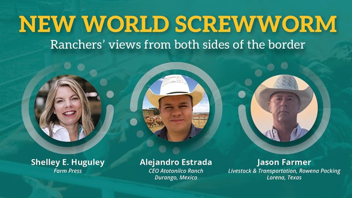 New World screwworm webinar to feature Mexico, Texas ranchers