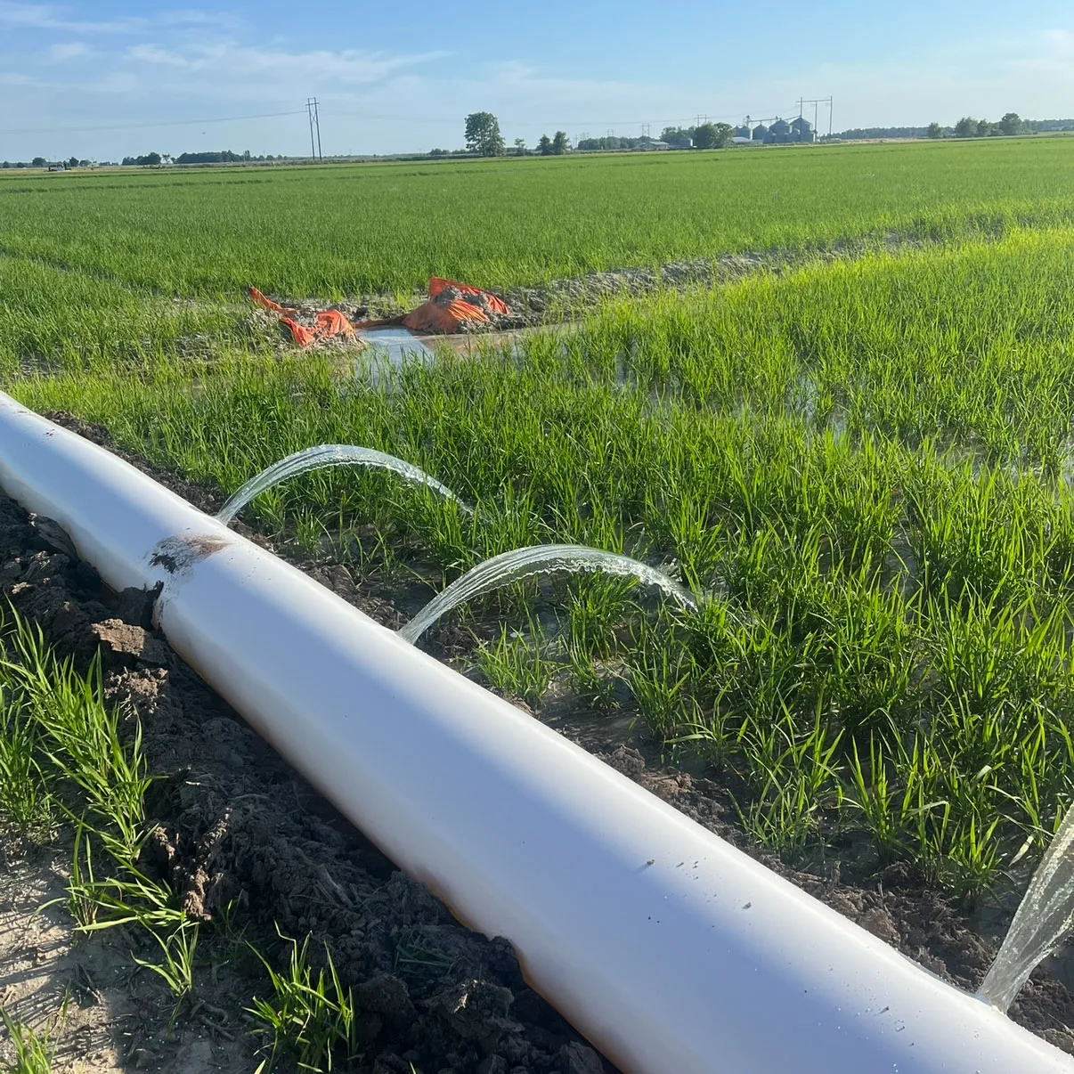 Irrigation systems like this one can cost Arkansas rice farmers $212 per acre in diesel fuel alone in 2026