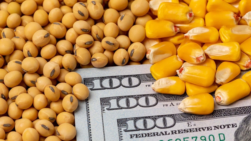 Soybeans and corn with hundred dollar bills
