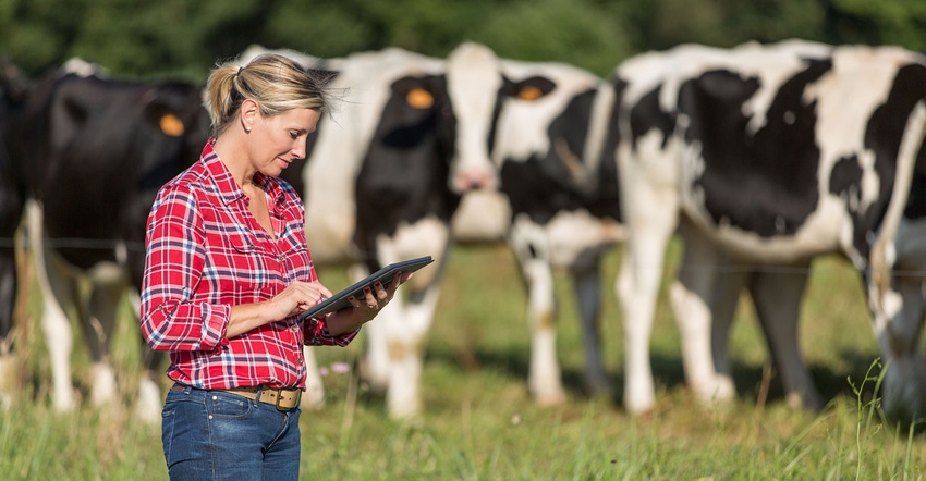 Female dairy farmer holds tablet in pasture with cows